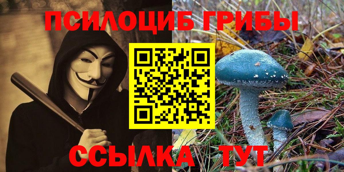 Псилоцибиновые грибы MAGIC MUSHROOMS Усолье-Сибирское